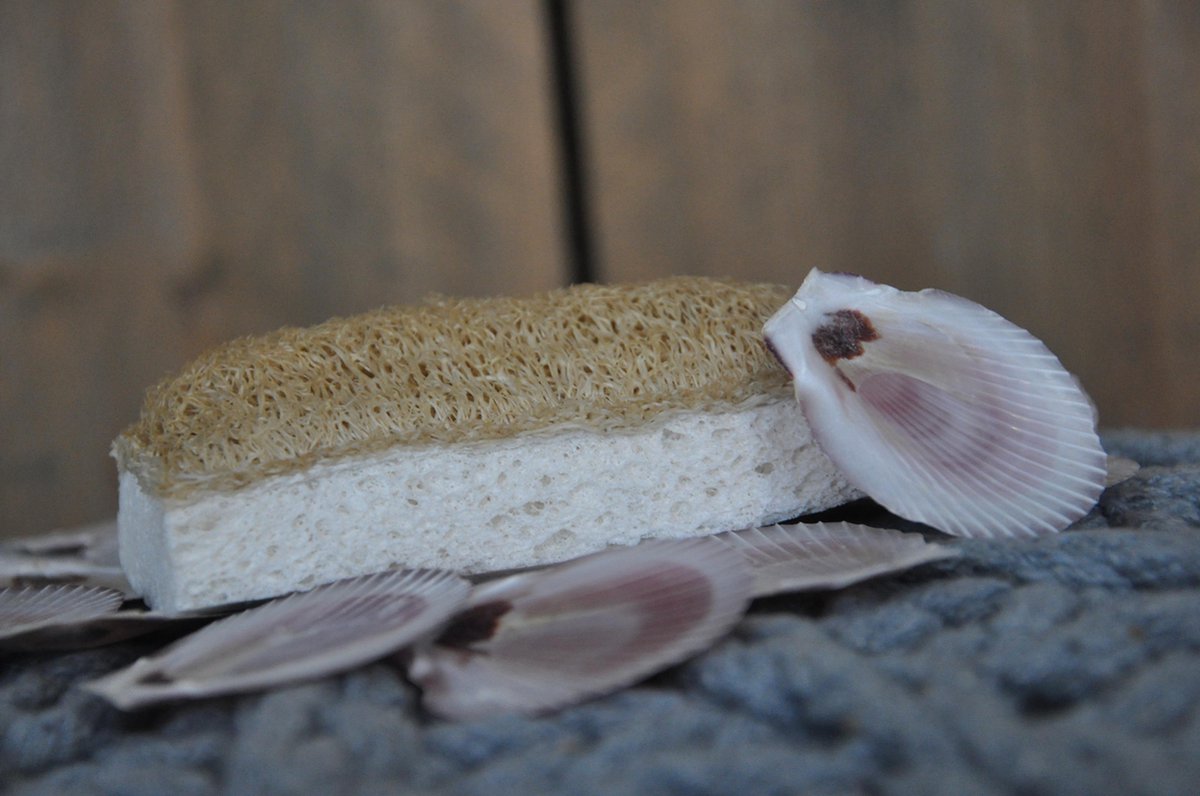 Goedkoopste 2 stuks Loofah cellulose afwasspons - Natuurlijk spons - Afwasspons - Biologisch afbreekbaar - Ecologisch