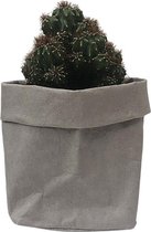 de Zaktus - Monstrose Appelcactus - cactus -  paper bag grijs - Maat M