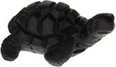 Polystone Donatello Schildpad Zwart