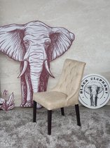 Black Elephant - Clair - Eetkamerstoel - Horeca - Champagne - Velvet