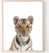 Poster Jungle / Safari Baby Tijger - 50x40cm - Baby / Kinderkamer - Dieren Poster - Muurdecoratie