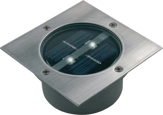 Bangladesh Glimlach Langwerpig Ranex Carlo Grondspot - 1 stuk - LED - IP67 - Solar - RVS | bol.com