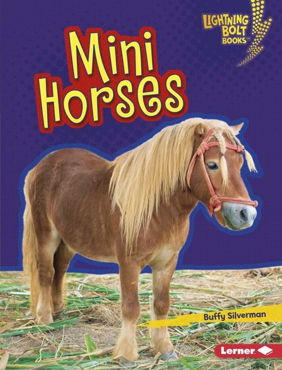 Lightning Bolt Books ® — Little Pets - Mini Horses
