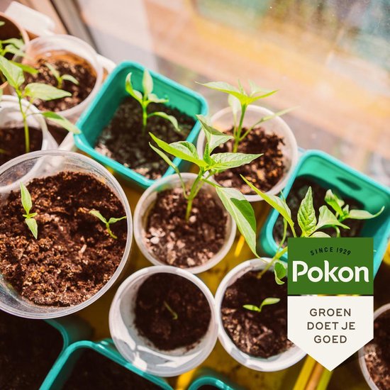 Pokon Bio Zaai- en Stekgrond - 10l - Turfvrije potgrond (biologisch) - Stimuleert wortelontwikkeling - Geschikt voor zaaitray