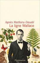 Littérature française - La ligne Wallace