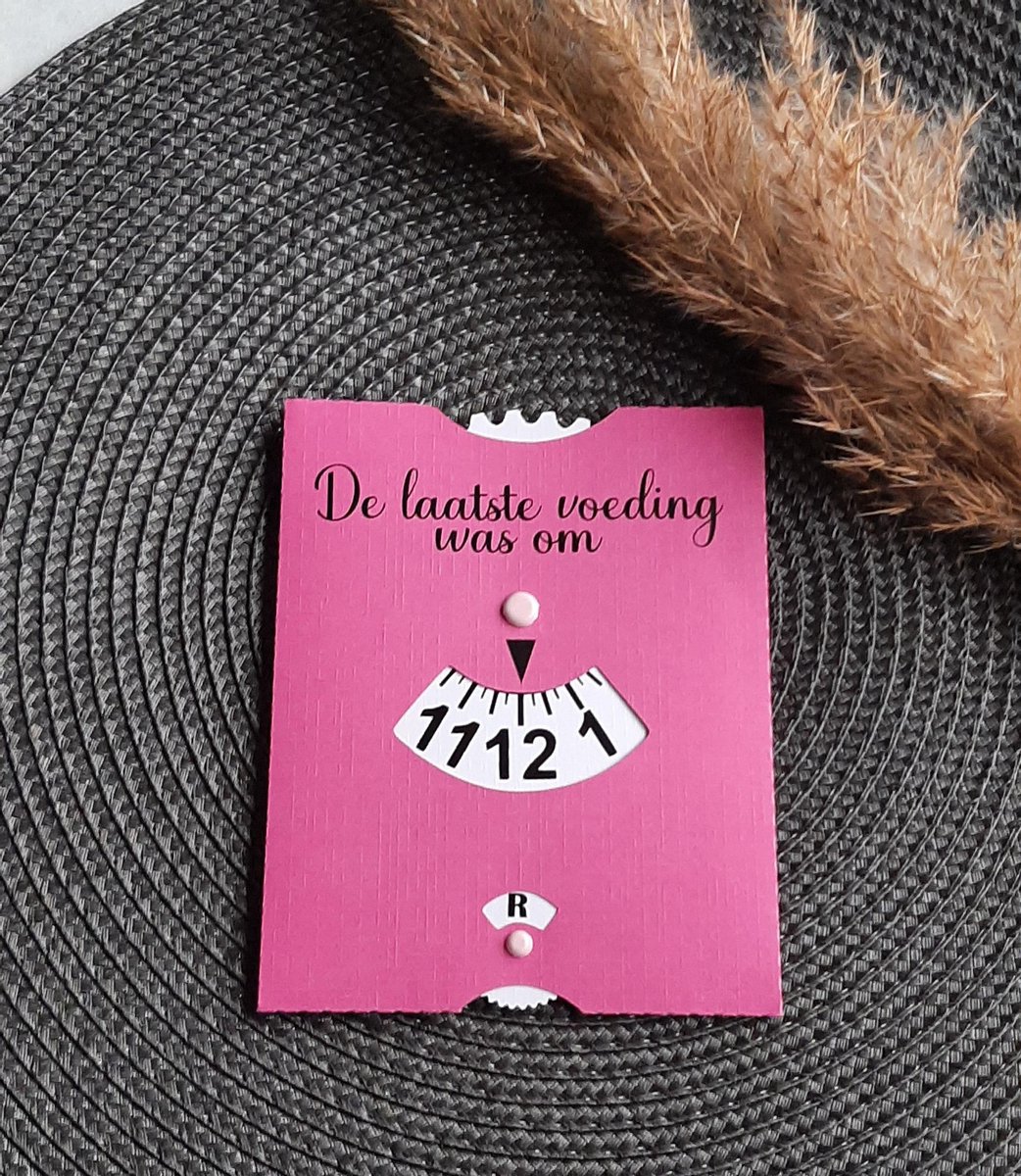 Goedkoopste Mint11 - Voedingskaart Fuchsia - babyvoeding accessoires babyshowergift - kraamcadeau - kraamkado - baby benodigdheden - voedingsschijf - parkeerschijf