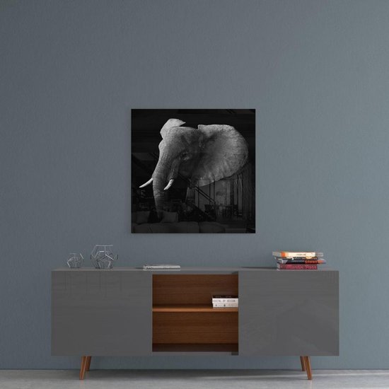 Glas Peinture - Elephant - Uv Imprimer Peinture en Glas trempé 80 × 80 cm, 4 mm
