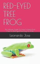 Red-Eyed Tree Frog