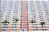 Dibond - Kleurrijk Appartementencomplex met Palmbomen - 90x60cm Foto op Aluminium (Wanddecoratie van metaal)