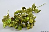 Zijden plant - hop - groen - 79cm