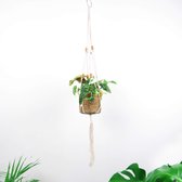 Plantenhanger - 100 cm - Katoen - Plantenpot - Hangpot - Hangende bloempot - Plantenhanger macrame - Plantenhanger binnen - Hangpotten - Plantenhangers