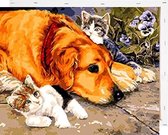Schilderen op Nummer Hond Katten 40x50 met Frame Volwassenen & Kinderen - Kleuren op Nummer - Paint by Number - Hobbypainting.nl®