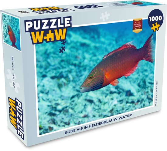 Puzzle Pêche 1000 pièces - Poisson rouge dans l'eau bleue claire | bol.com