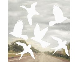 Vogelbescherming stickers raam WIT | vogelstickers raam buiten | Witte raamstickers vogels