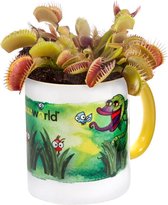 Swampworld mok met vleesetende plant - Venus Vliegenval