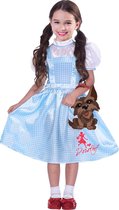 Wizard of Oz Dorothy Kostuum Kind