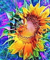 Diamond Painting SUNFLOWER 40 x 50 cm - MONA LISA