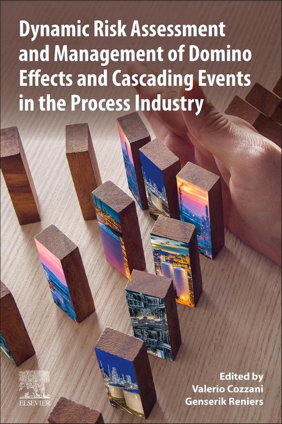 Dynamic Risk Assessment and Management of Domino Effects and Cascading