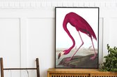 INTERIEUR POSTER AMERICAN FLAMINGO