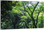 Tuinposter – Hoge Bomen in het Bos - 150x100cm Foto op Tuinposter  (wanddecoratie voor buiten en binnen)