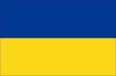 Vlag gemeente Vught 100x150 cm