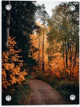 Tuinposter – Bos met Oranje Bladeren - 30x40cm Foto op Tuinposter  (wanddecoratie voor buiten en binnen)