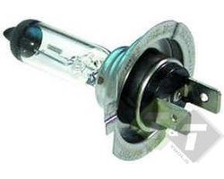 H7 Autolamp 12 Volt, 55 Watt, PX26D, Koplamp