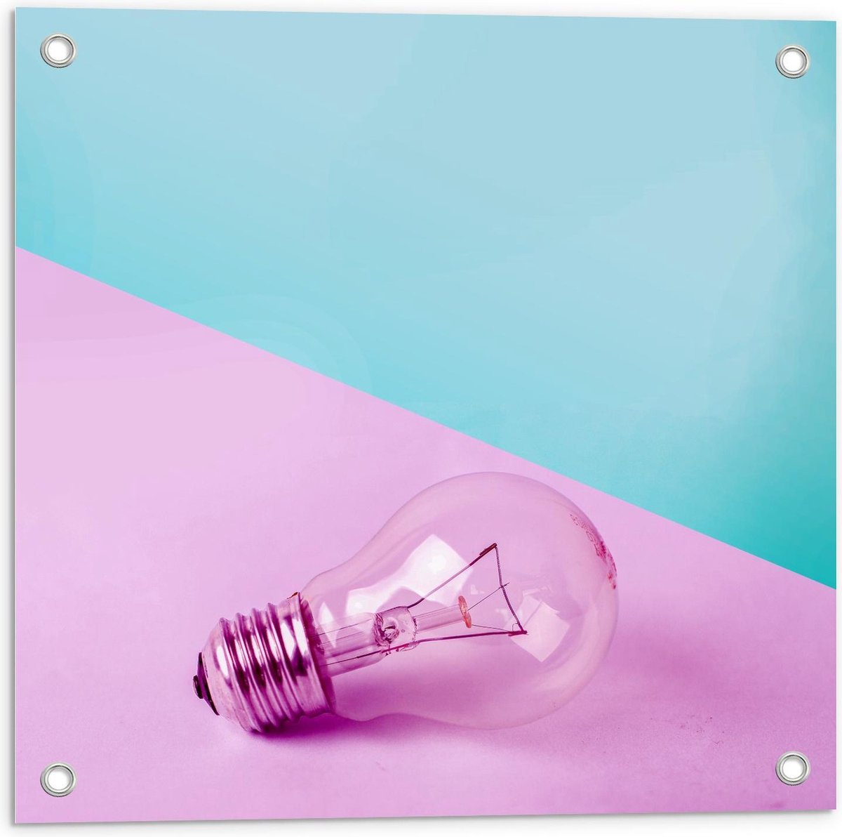 Tuinposter – Gloeilamp Roze/Blauwe Achtergrond - 50x50cm Foto op Tuinposter (wanddecoratie