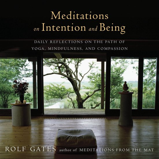 Meditations on Intention and Being - cover