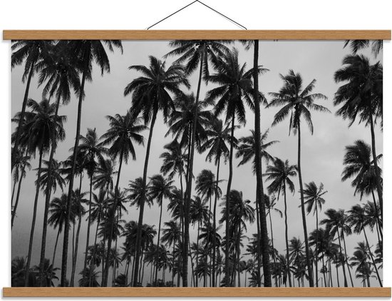Schoolplaat – Palmbomen in de Hoogte Zwart - Wit - 90x60cm Foto op Textielposter (Wanddecoratie op Schoolplaat)