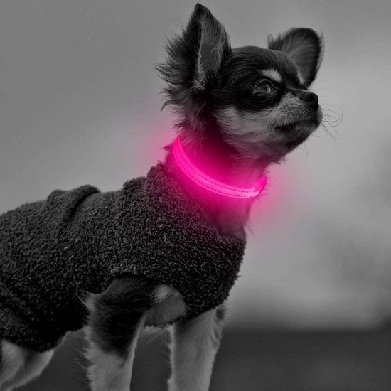 Het Onderling verbinden Baron Leger print LED halsband maat XL voor je hond |roze| Verlichte halsband  voor honden |... | bol.com