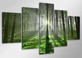 Schilderij - Zonlicht door de bomen, Bos,   100x50 cm.  5 luik, wanddecoratie