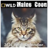Maine Coon calendar 2021