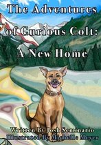 The Adventures of Curious Colt
