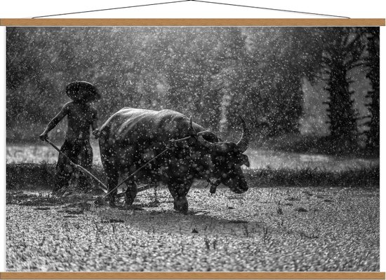 Schoolplaat – Man met Stier in Regen Zwart - Wit - 120x80cm Foto op Textielposter (Wanddecoratie op Schoolplaat)