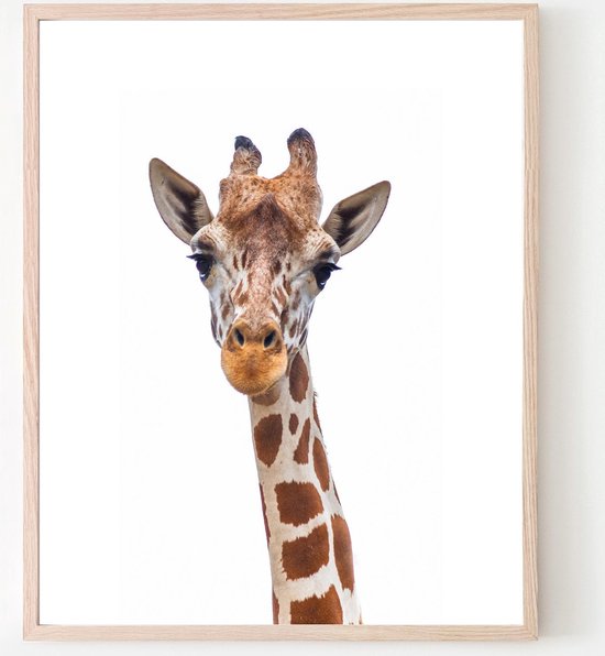 Poster Jungle / Safari Giraffe - 40x30cm - Baby / Kinderkamer - Dieren Poster - Muurdecoratie
