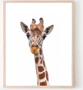 Poster Jungle / Safari Giraffe - 70x50cm - Baby / Kinderkamer - Dieren Poster - Muurdecoratie