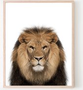 Poster Jungle / Safari Leeuw - 80x60cm - Baby / Kinderkamer - Dieren Poster - Muurdecoratie