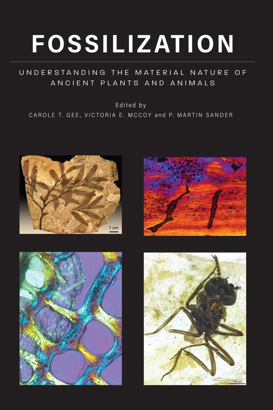Fossilization - cover