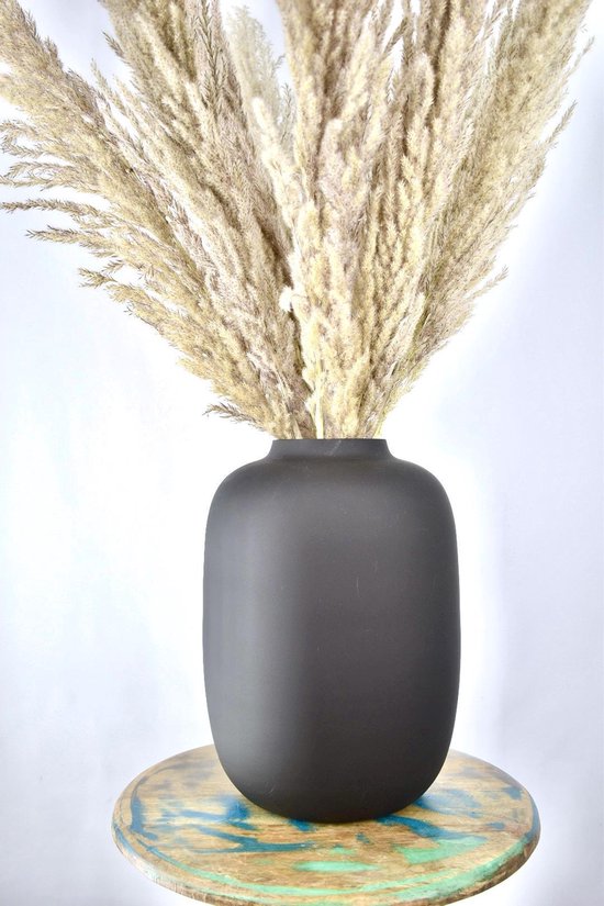 Plumes de pampa avec vase noir Artic - 80cm - Fleurs séchées - Natuurlijk Bloemen
