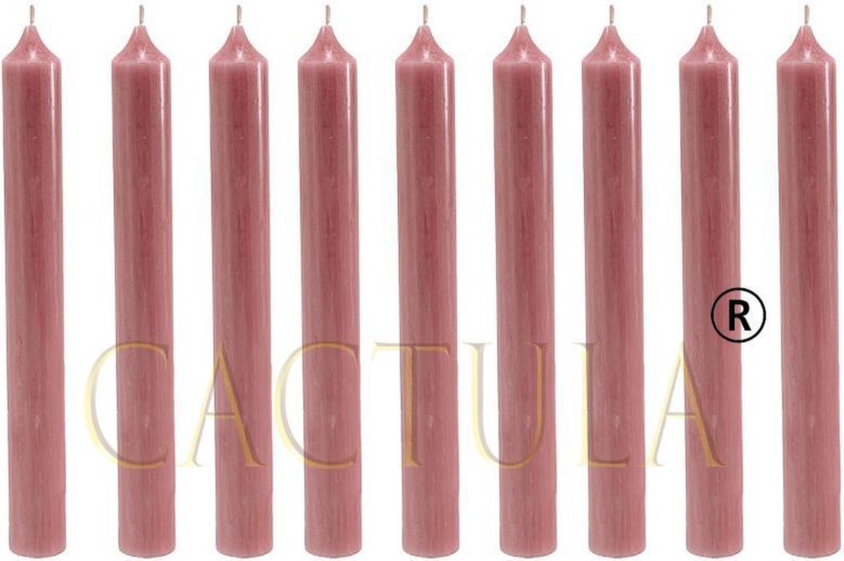 Cactula mooie dinerkaarsen 19.5 cm Oud Roze 18 stuks | 6 branduren