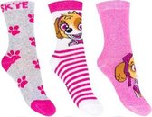 PAW Patrol - meisjes sokken - maat 23-26