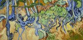 Vincent van Gogh, Boomwortels, 1890 op canvas, afmetingen van dit schilderij zijn 100 X 150 CM