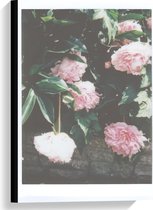 Canvas  - Struik met Roze Bloemen - 40x60cm Foto op Canvas Schilderij (Wanddecoratie op Canvas)