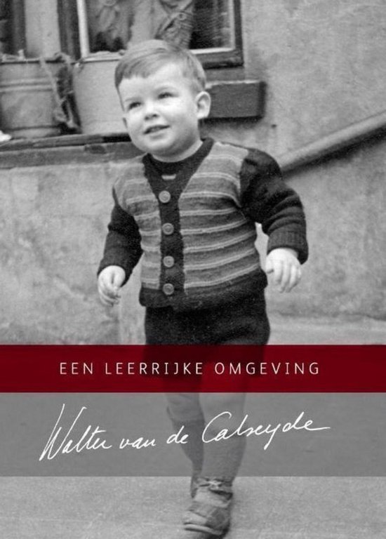 Een leerrijke omgeving - cover