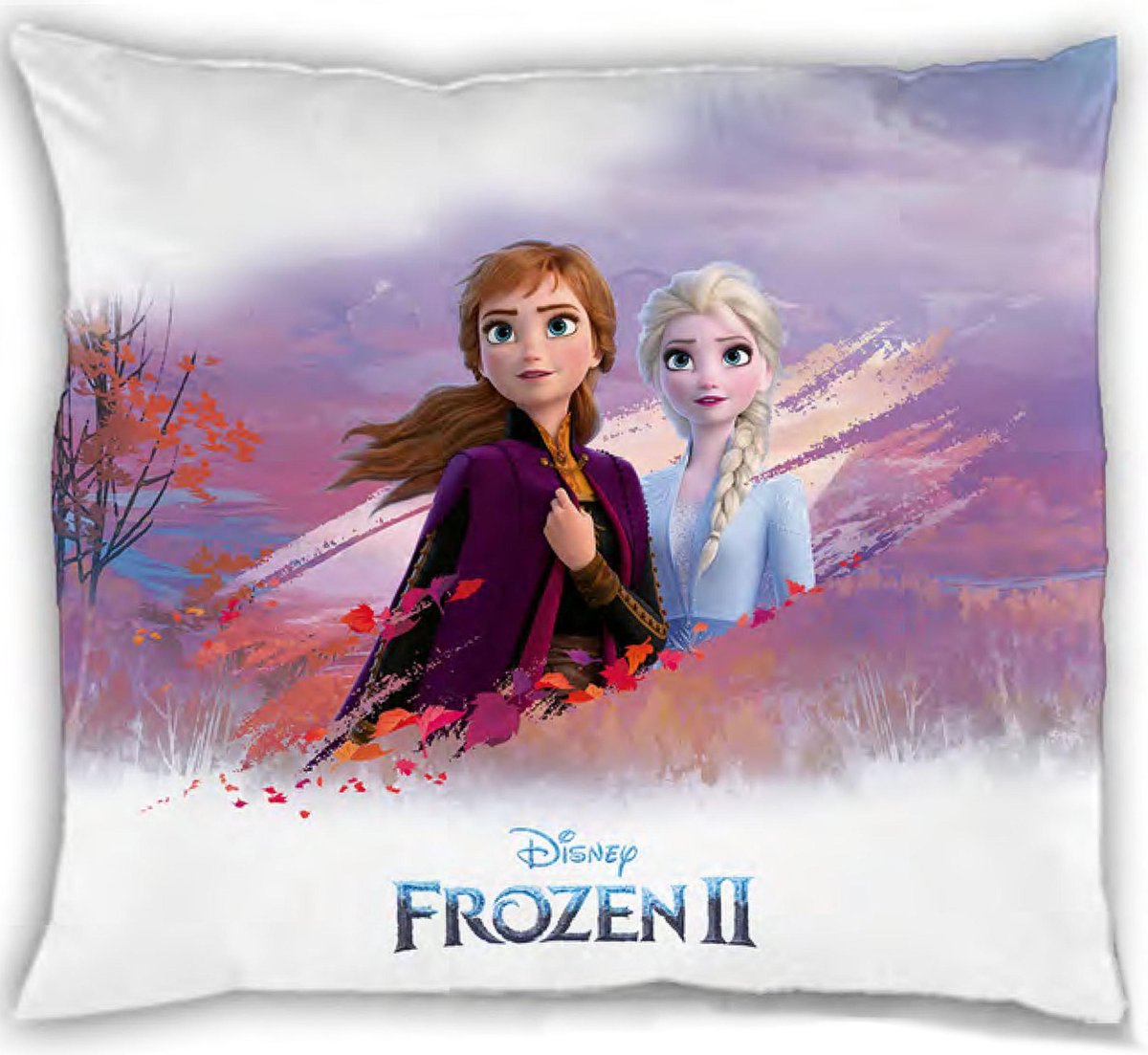 Sociale wetenschappen Botsing venijn Disney Frozen V2 - kussen 35 x 35 cm Elsa en Anna - Frozen 2 Disney kussen  - Frozen... | bol.com