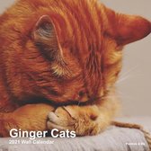 Ginger Cats