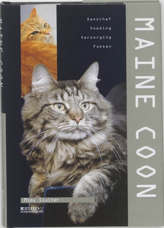 Cover van het boek 'Maine Coon' van Mimy Sluiter