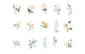 Bloemen | sticker set | bullet journal stickers | 15 designs - 2 van elk | 30 sticker stuks