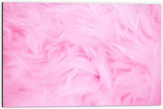 Dibond - Roze schapenvachtje  - 60x40cm Foto op Aluminium (Met Ophangsysteem)